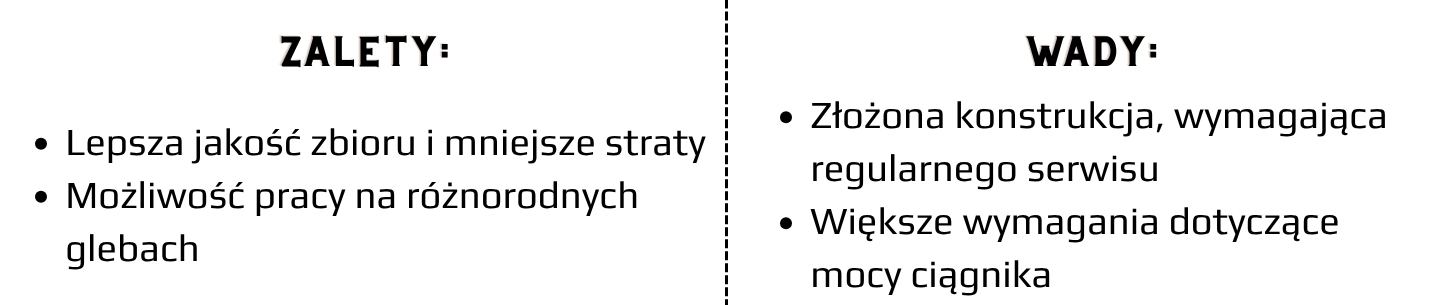 wady i zalety
